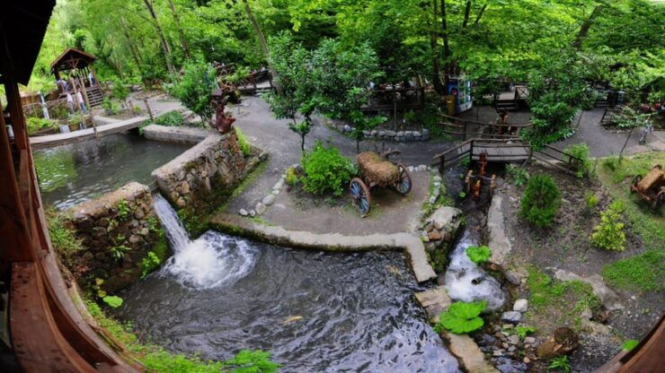 Sapanca Maşukiye Tour From Istanbul - Itinerary Details