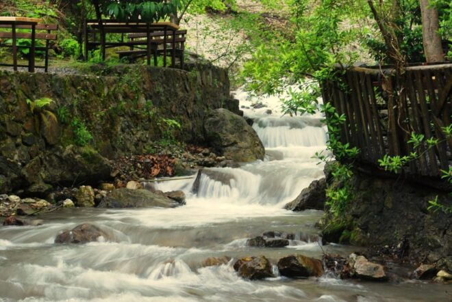 Sapanca Maşukiye Tour From Istanbul - Tour Highlights