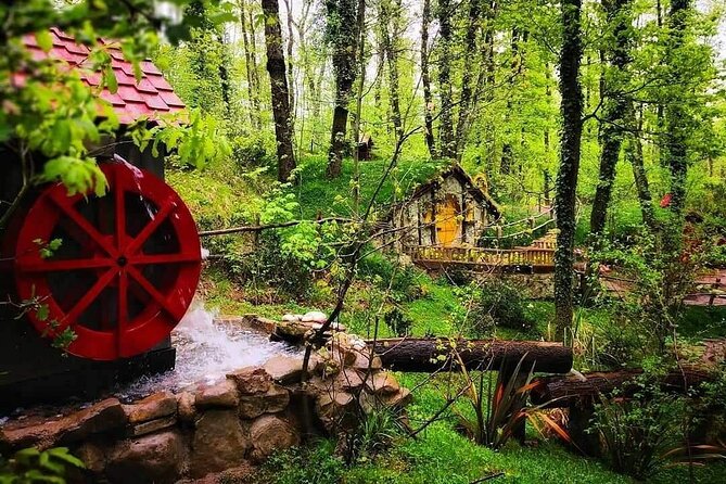 Sapanca & MaşUkiye Tour With Lunch - Start and End Point Information