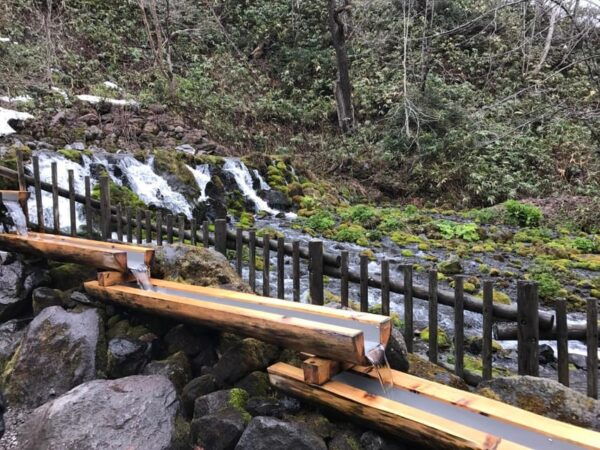 Sapporo 1-Day Tour With Toyako Lake Hot Spring - Experience Benefits