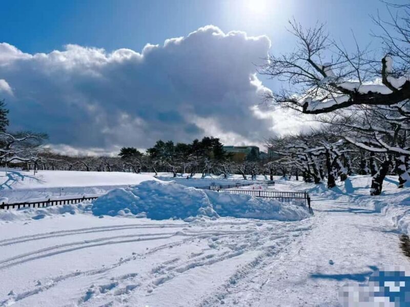 Sapporo: 4-Day Hakodate, Lake Toya, & Noboribetsu Tour - An In-Depth Look at the Itinerary