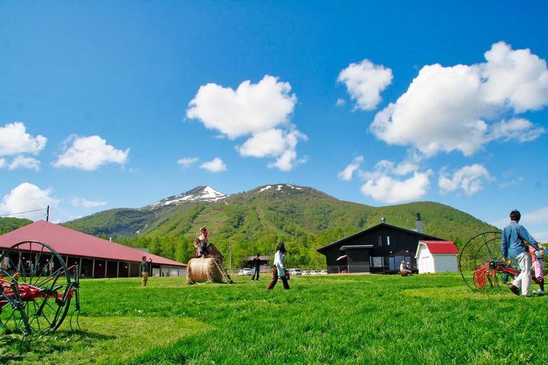 Sapporo 8 Natural Wonders Full-Day Tour with Night Illumination - A driver-guide makes the route easier