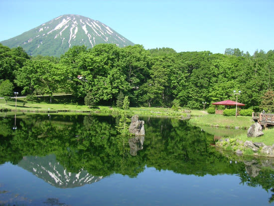 Sapporo 8 Natural Wonders Full-Day Tour with Night Illumination - Is $63.09 good value?