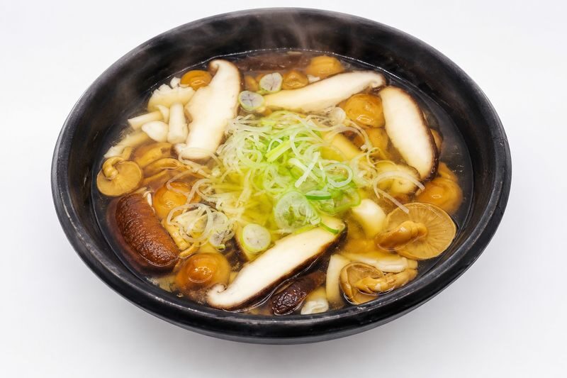 Sapporo 8 Natural Wonders Full-Day Tour with Night Illumination - Who should choose this Sapporo day trip?