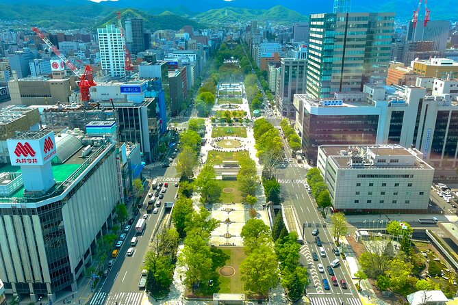 Sapporo Afternoon Walking Tour 2h 30mins - Tour Inclusions