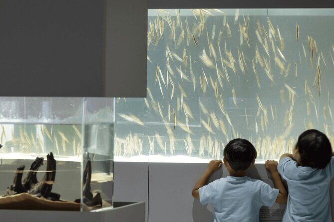 Sapporo AOAO Aquarium Park Hokkaido - An Overview of Sapporo AOAO Aquarium Park