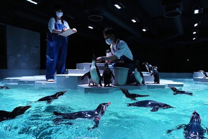 Sapporo AOAO Aquarium Park Hokkaido - Practical Tips for Visiting AOAO SAPPORO