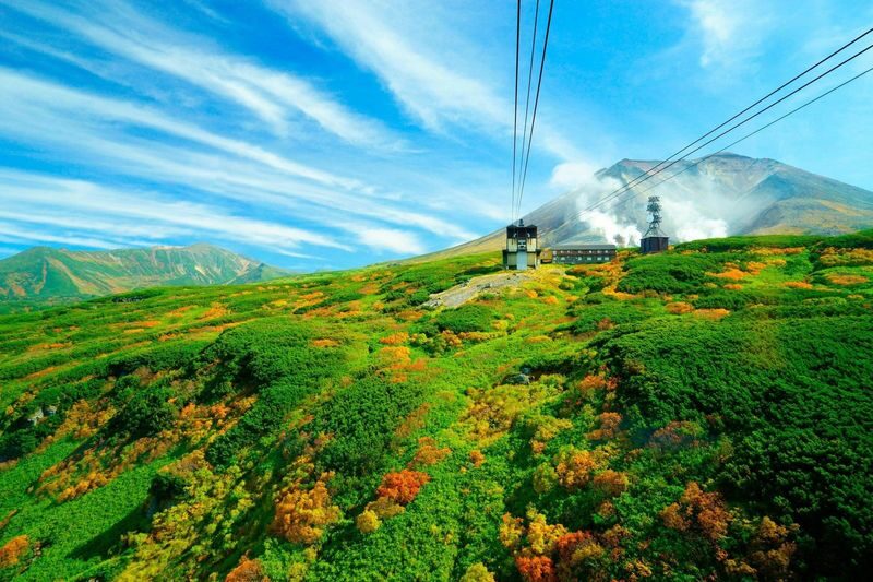 Sapporo Asahidake National Park & Zoo Day Trip - A day that pairs mountain air with a zoo