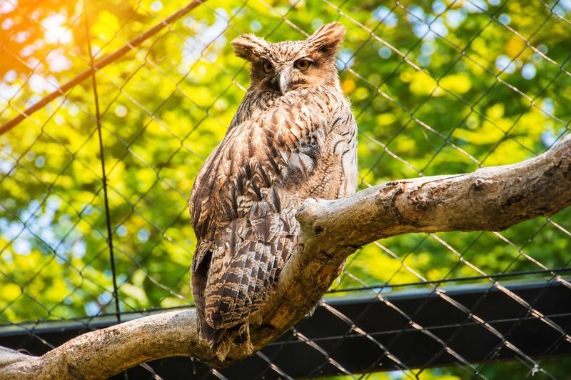 Sapporo Asahidake National Park & Zoo Day Trip - What $63.09 buys, and what to check