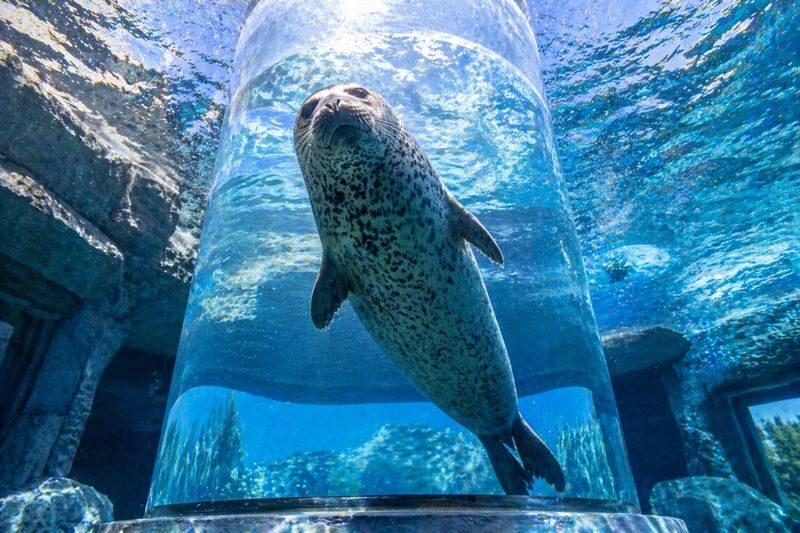 Sapporo Asahidake National Park & Zoo Day Trip - Who will get the most from this day trip