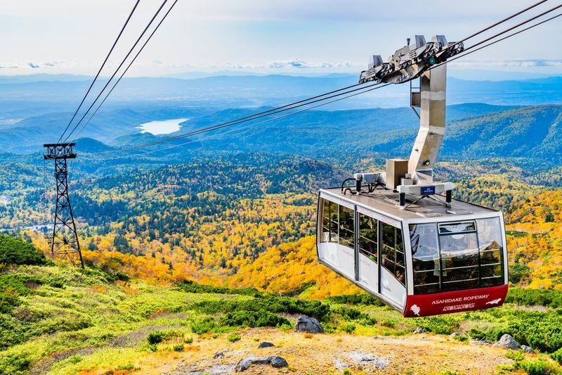 Sapporo Asahidake National Park & Zoo Day Trip - Should you book the Sapporo Asahidake day trip?