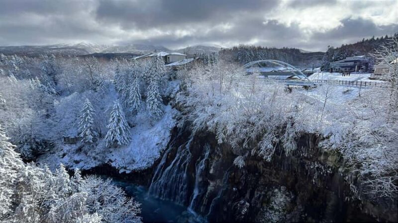 Sapporo: Asahikawa,Biei and Furano day Tour in small group - Good To Know