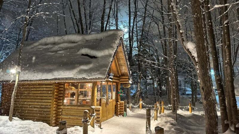 Sapporo: Asahikawa,Biei and Furano day Tour in small group - An In-Depth Look at the Tour Experience