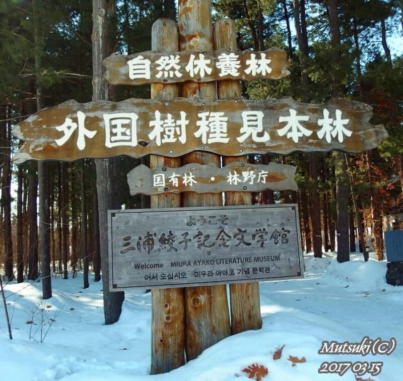 Sapporo: Asahikawa,Biei and Furano day Tour in small group - The Value of This Tour