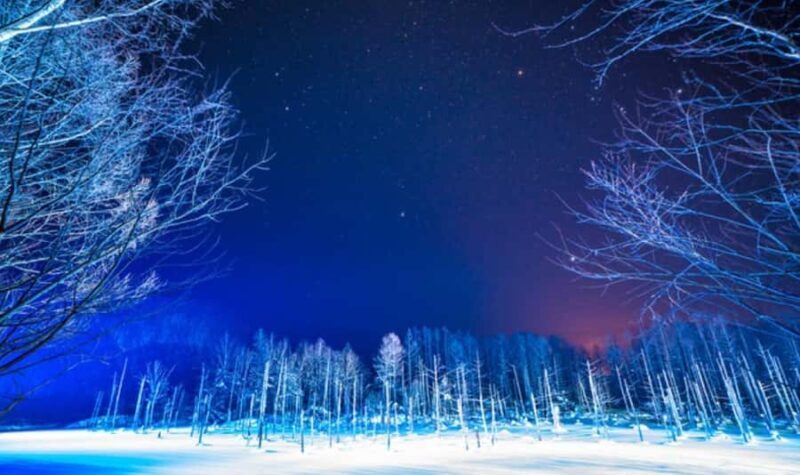 Sapporo: Asahiyama Zoo and Blue Pond Day Trip - Practical Details: What You Need to Know