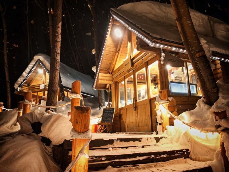 Sapporo: Asahiyama Zoo and Ningle Terrace Trip /w Pickup - The Sum Up