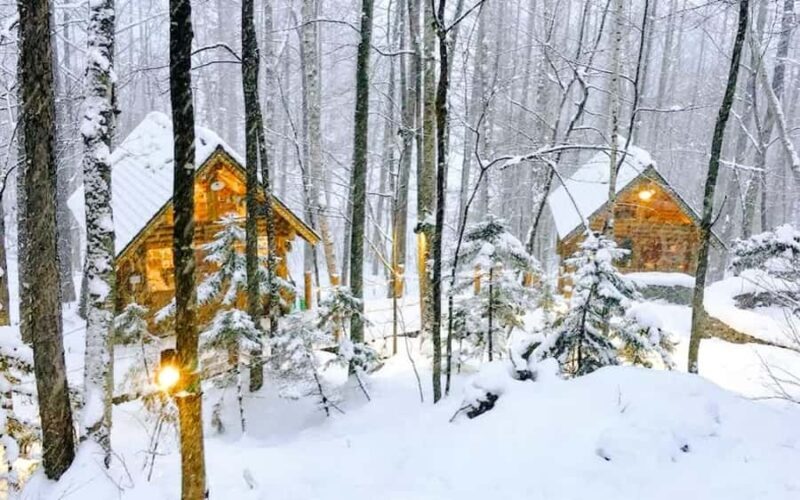 Sapporo: Asahiyama Zoo and Shirahige Falls Trip /w Pickup - Final Thoughts