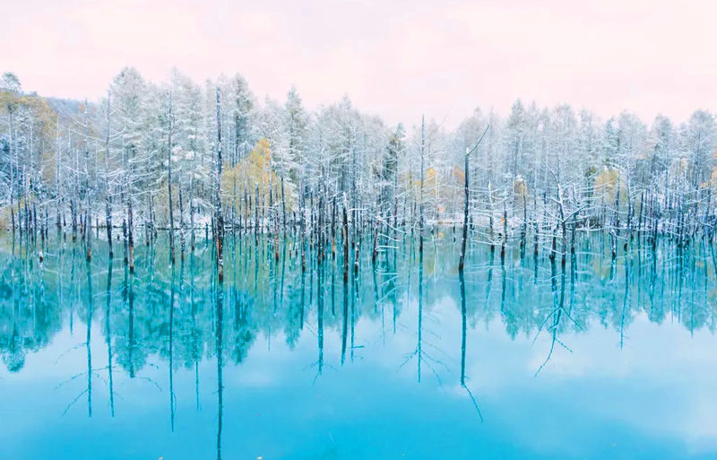 Sapporo Asahiyama Zoo & Farm Tomita Full-Day Tour with Blue Pond - A guide can make the busy day easier