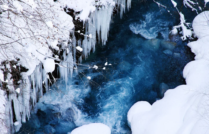 Sapporo Asahiyama Zoo & Farm Tomita Full-Day Tour with Blue Pond - Is the $47.29 starting price good value?
