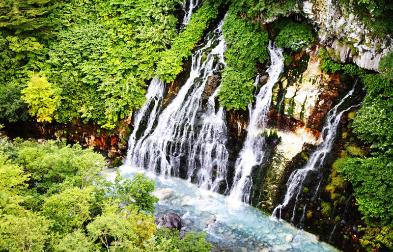 Sapporo Asahiyama Zoo & Farm Tomita Full-Day Tour with Blue Pond - Who should book this tour?