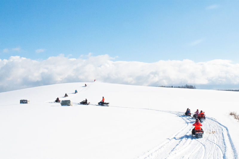 Sapporo Asahiyama Zoo & Forest Elf Terrace Winter Tour - Who should choose this tour?