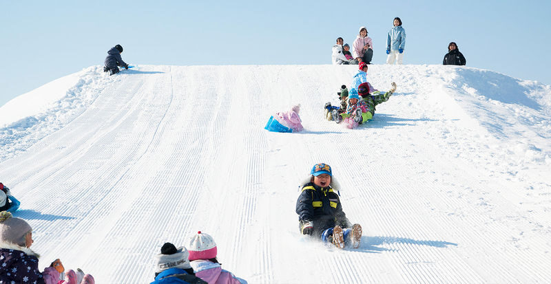 Sapporo Asahiyama Zoo & Forest Elf Terrace Winter Tour - Should you book it?