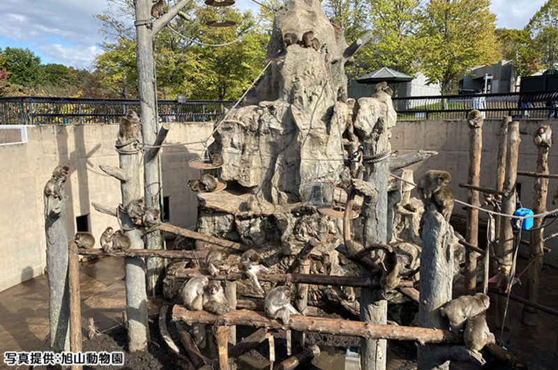 Sapporo Asahiyama Zoo Full-Day Sightseeing Bus Tour - At Asahiyama Zoo