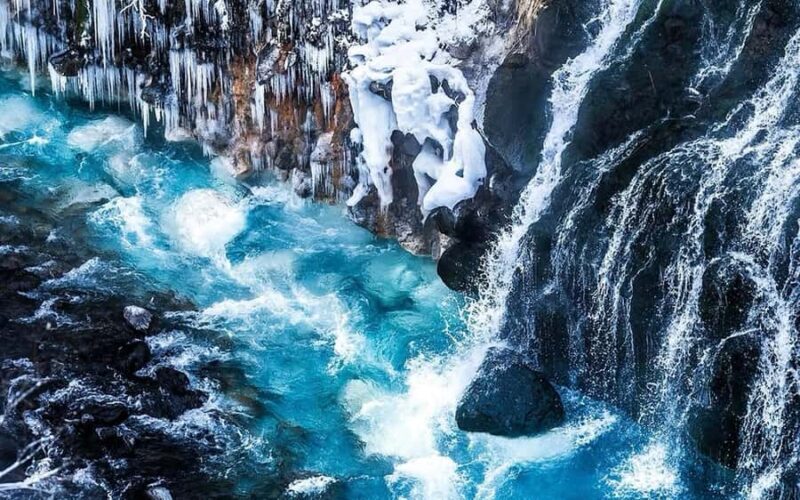 Sapporo: Asahiyama Zoo, Snow Activity, & Ningle Terrace Tour - Who Will Love This Tour?