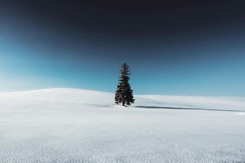 Sapporo: Biei Best 5 Must-Visit Day Tour (Late Departure) - Good To Know