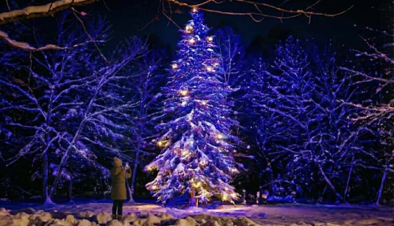 Sapporo: Biei Best 5 Must-Visit Day Tour (Late Departure) - FAQ