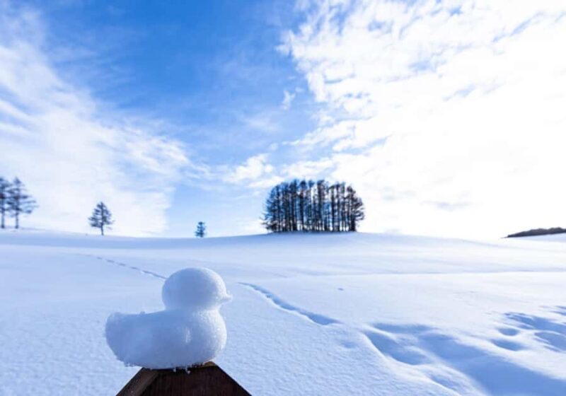 Sapporo: Biei Best 5 Must-Visit Day Tour (Late Departure) - Who Would Love This Tour?