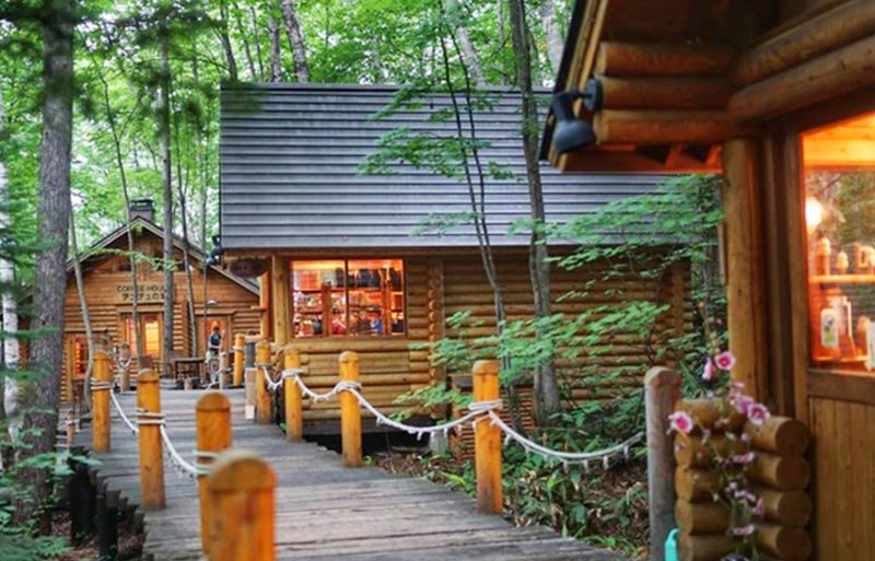 Sapporo Biei Blue Pond & Shikisai no Oka Full-Day Flower Tour - Is $63.10 good value?