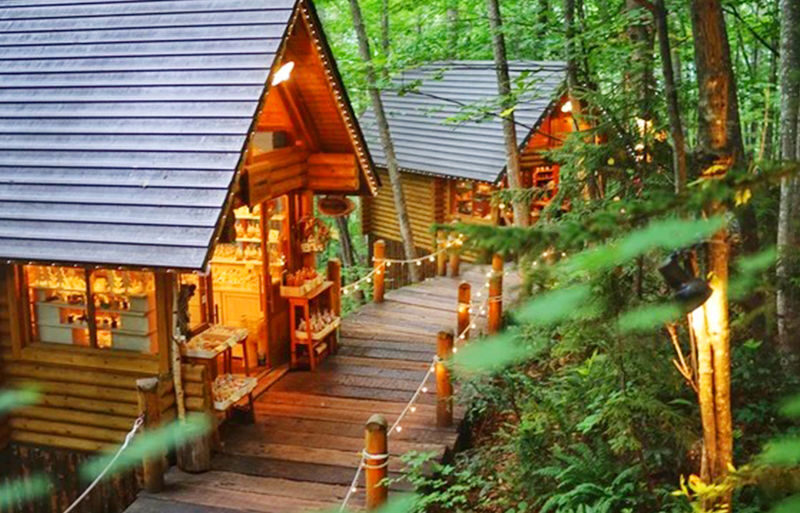 Sapporo Biei Blue Pond & Shikisai no Oka Full-Day Flower Tour - Booking, cancellations, and a sensible backup plan