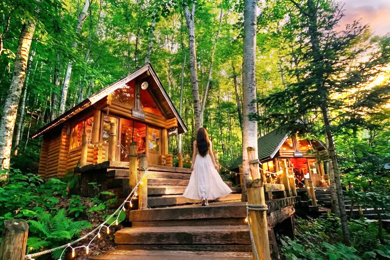 Sapporo Biei & Furano Private Full-Day Tour - A full day for Biei, Furano, and the Blue Pond