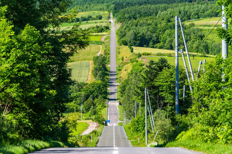 Sapporo Biei & Furano Private Full-Day Tour - Is $433.55 good value?