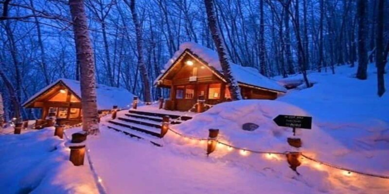 Sapporo: Biei & Furano Private Tour with Hot Spring - Hot Springs and Relaxation