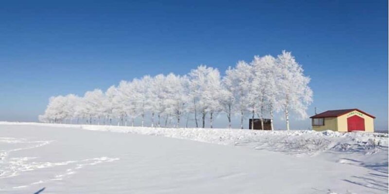 Sapporo: Biei & Furano Private Tour with Hot Spring - Who Is This Tour Best For?