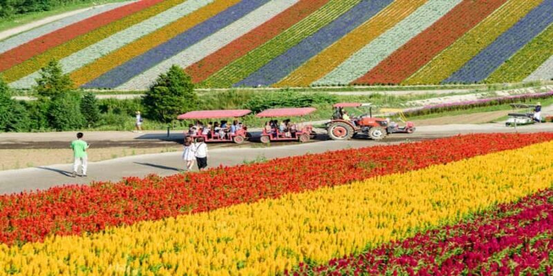 Sapporo: Biei & Furano Private Tour with Hot Spring - The Sum Up