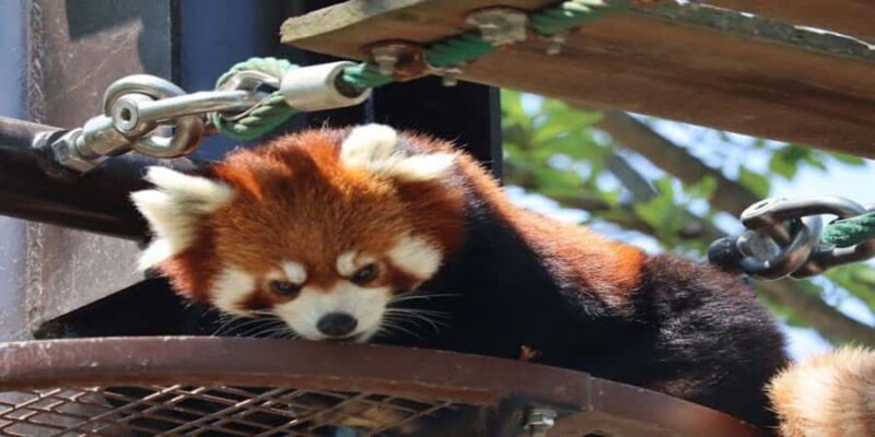 Sapporo: Biei & Furano Private Tour with Hot Spring - A Comprehensive Look at the Tour Experience