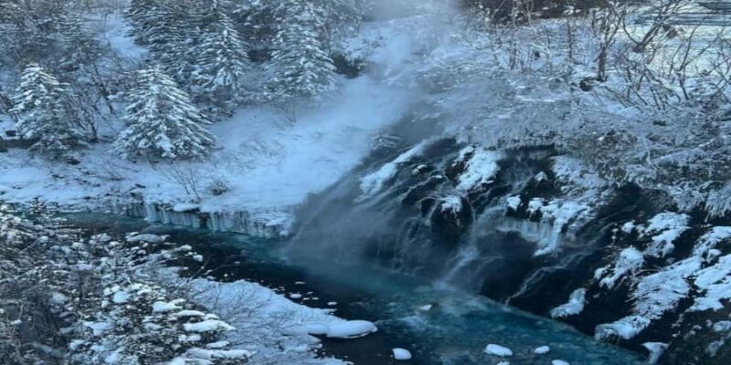 Sapporo: Biei & Furano Private Tour with Hot Spring - Who Will Love This Tour?