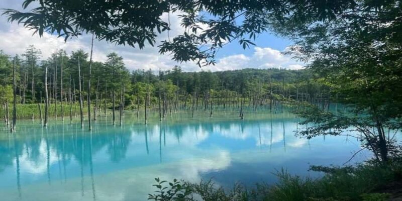 Sapporo: Biei & Furano Private Tour with Hot Spring - FAQs