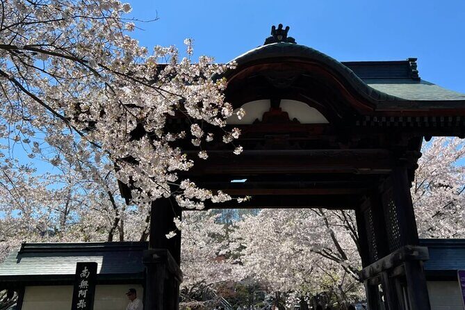 Sapporo City Cherry Blossom Private Sightseeing Tour - Exploring the Sapporo Cherry Blossom Tour: What to Expect