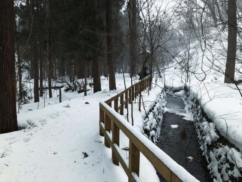 Sapporo: City Highlights & Local Experiences With a Local - Final Impressions