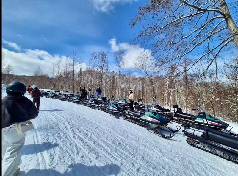 Sapporo Departure: Day Trip to Big Buddha, Jozankei, Lake Toya & Noboribetsu: Volcano/Lake View/Winter Snowmobiling - Practical details that can save you a headache