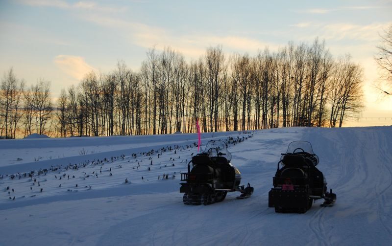 Sapporo Departure: Day Trip to Big Buddha, Jozankei, Lake Toya & Noboribetsu: Volcano/Lake View/Winter Snowmobiling - Who should book this Sapporo day trip?