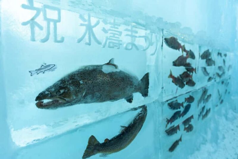 Sapporo departure: Lake Shikotsu Ice Festival Half-Day Tour - Who Is This Tour Best For?
