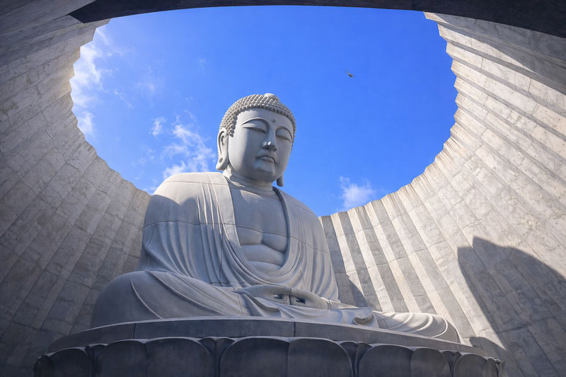 Sapporo Full-Day City Highlights Experience with Shopping - A full day that links very different Sapporo stops