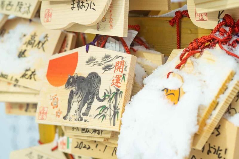 Sapporo Full-Day City Highlights Experience with Shopping - Hokkaido Jingu and the quieter side of the day