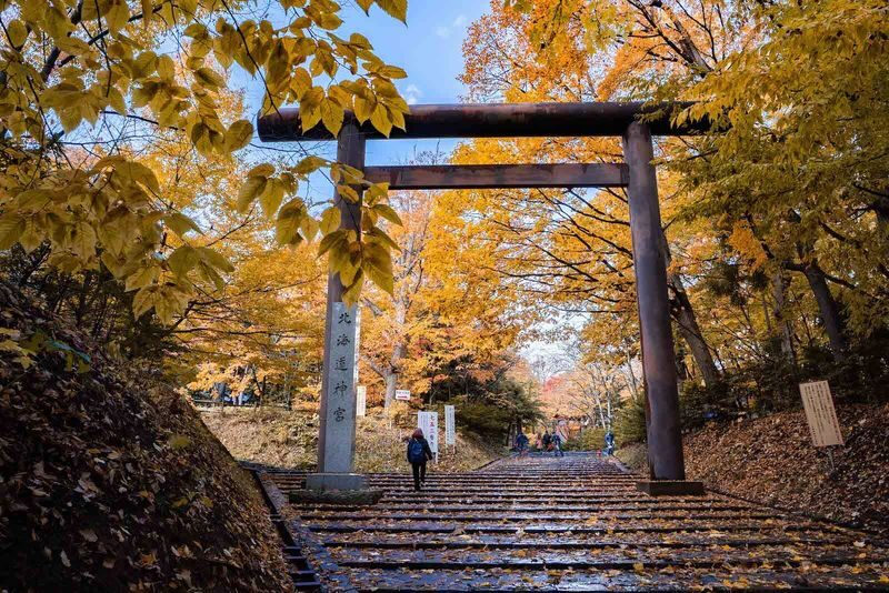 Sapporo Full-Day City Highlights Experience with Shopping - Seafood market lunch, with local help if you want it