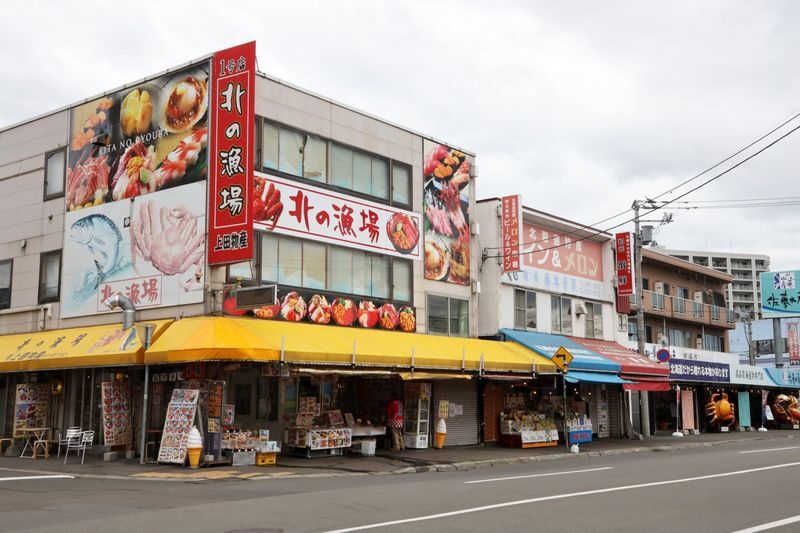 Sapporo Full-Day City Highlights Experience with Shopping - Who should book this Sapporo day tour?